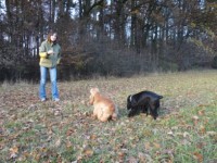 /album/vychazka-listopad-2009-zlin/p1000510-kopie-jpg/